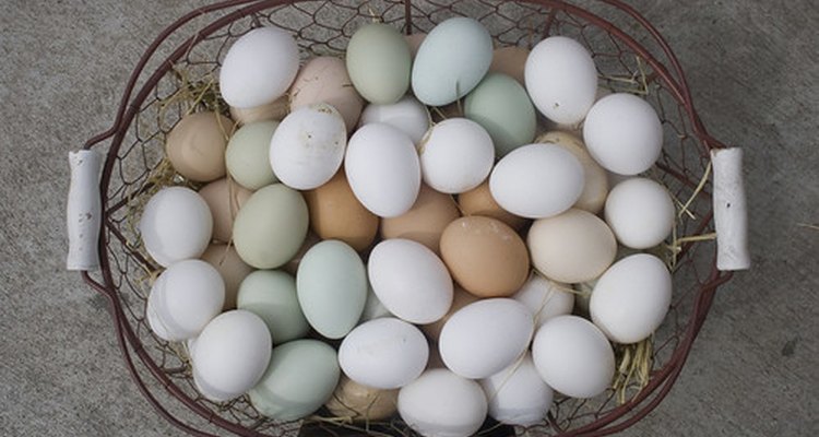 Ovos cozidos devem ser guardados na geladeira depois de duas horas.