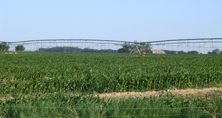 El campo de la agricultura incluye una variedad de puestos de trabajo.