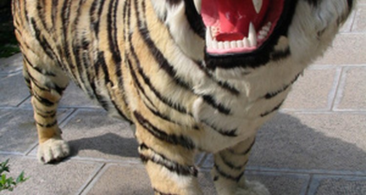 Fibreglass animals delight children both young and old.
