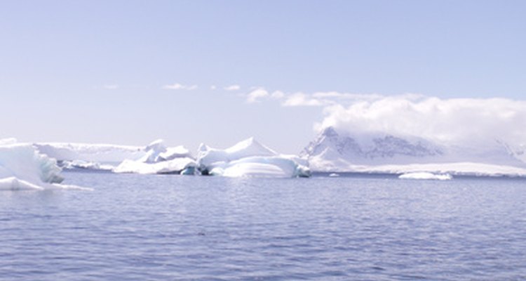 Los lobos marinos viven cerca de las costas de muchas islas sub-antárticas.