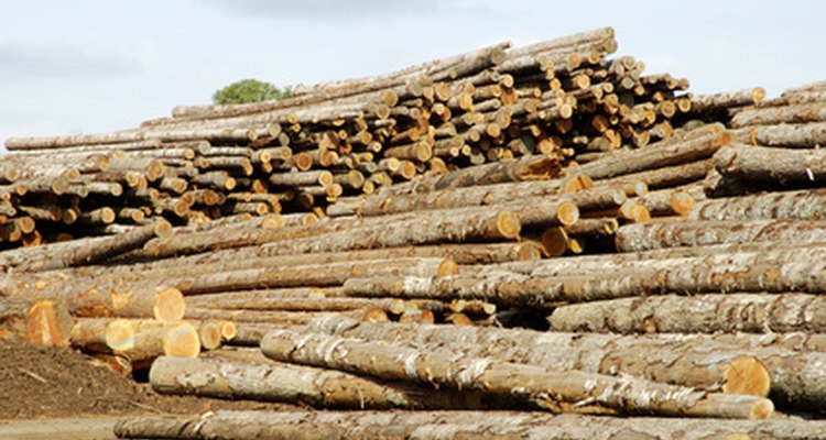 Pine is a softwood.