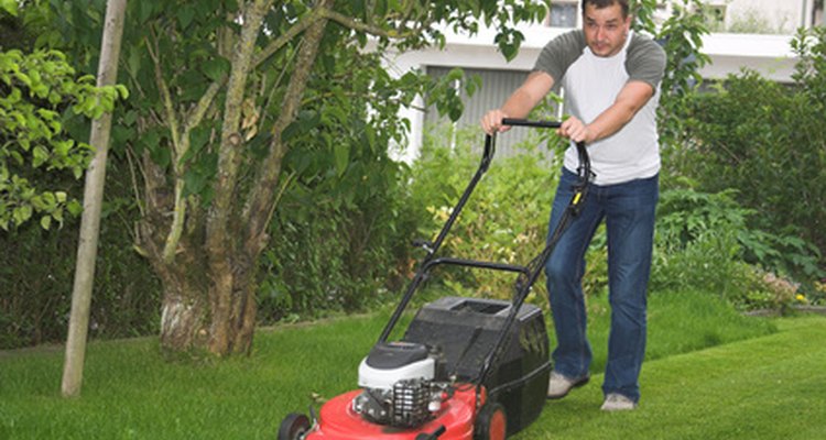 O preço do seu serviço de jardinagem é um fator importante de seu sucesso.