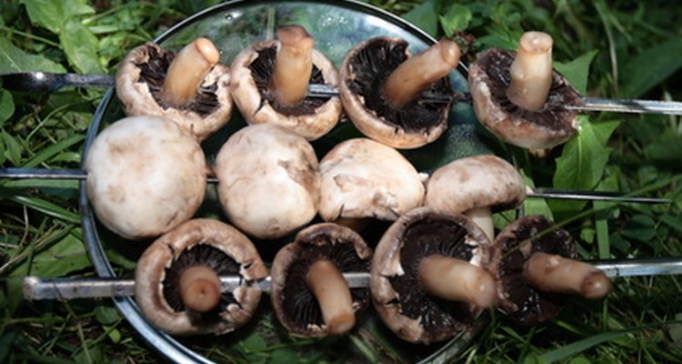 Cogumelos assados ​​adicionam uma nota rústica e saborosa para uma refeição na fogueira