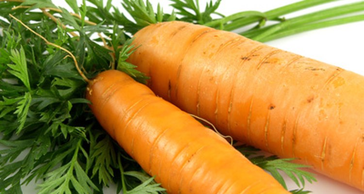 Las zanahorias son ejemplos de raíces principales o pivotantes comestibles.