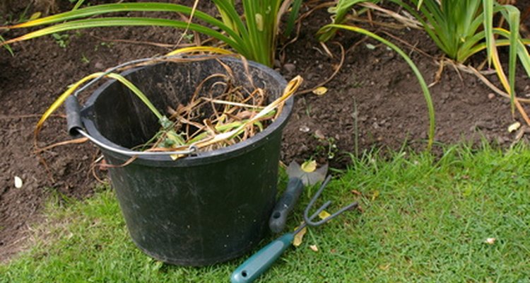 Puedes hacer un herbicida para eliminar la maleza en tu jardín.