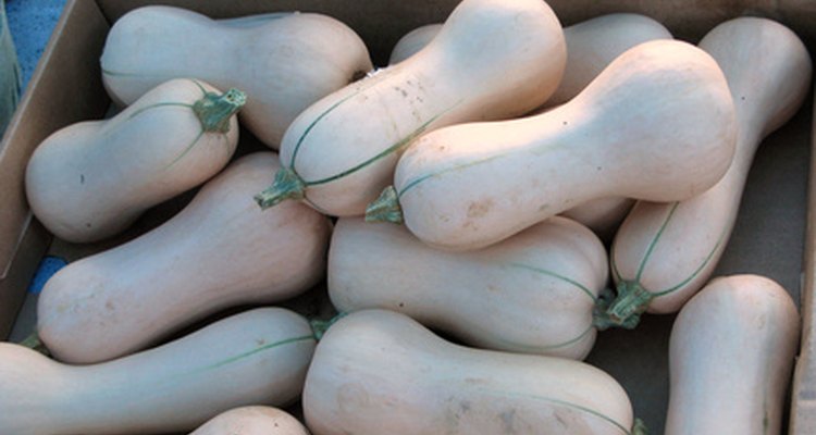 You have several NPK-fertiliser options for growing butternut squash.