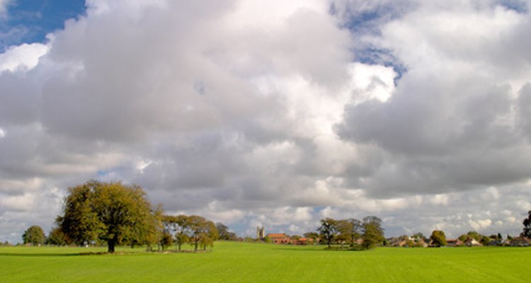 England imports cashews, which are a traditional gift.