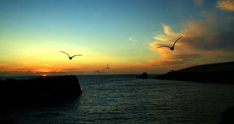 Los pájaros en una puesta de sol evocan sentimientos de una noche de verano.