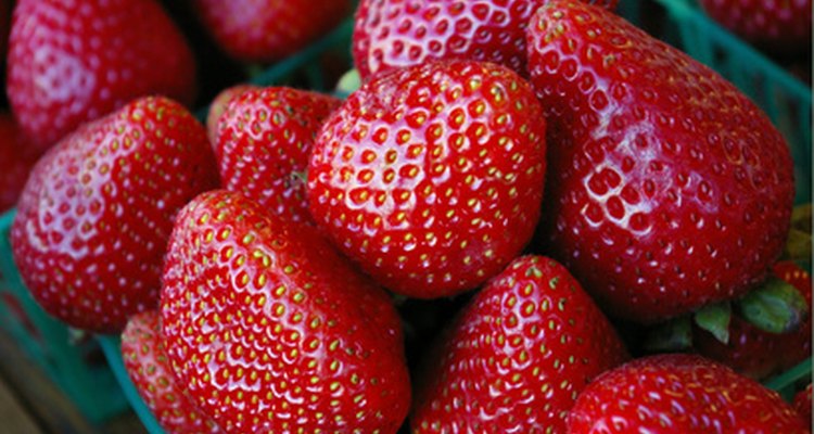 Morangos são relativamente fáceis de cultivar, mas requerem cuidados