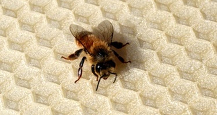 Beeswax coats fabric so dyes don't penetrate.