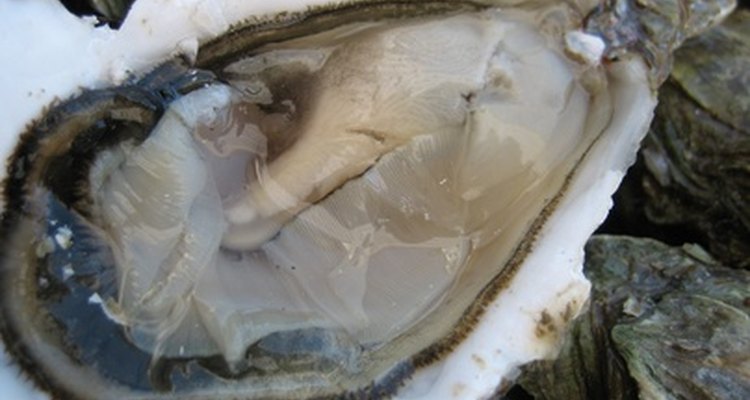 Oysters are a delicious way of increasing zinc in the diet.