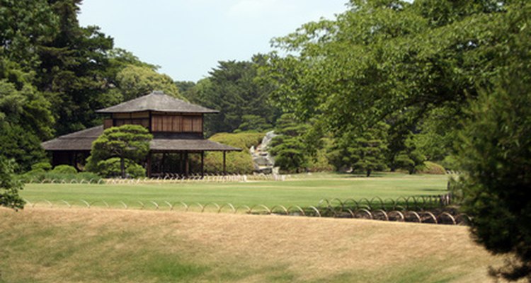 Empty space is an important part of a Japanese garden.