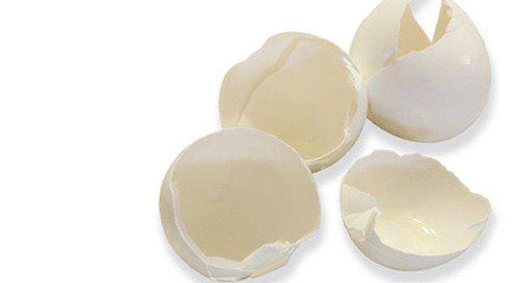 A cola de açúcar feita com clara de ovo é uma ferramenta útil e saborosa para qualquer confeiteiro