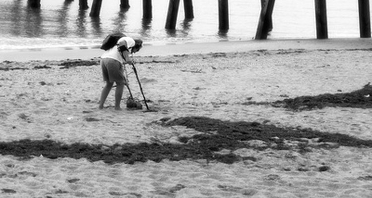 The M6 metal detector is versatile for pros and novices alike.