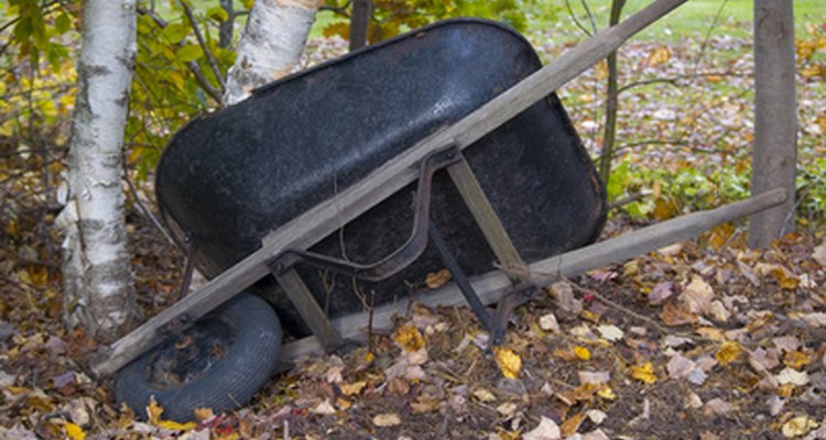 Measure the tire to get proper-sized replacements.