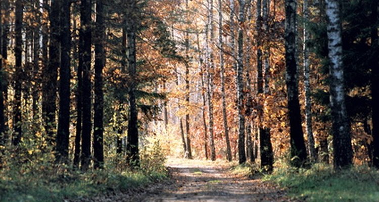 The outdoors offers many learning opportunities for ESL students.