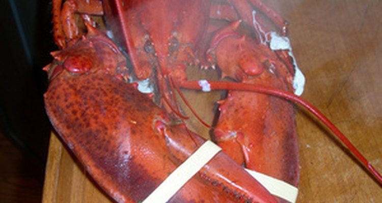 Lobsters come in a wide range of sizes so reheating times vary.
