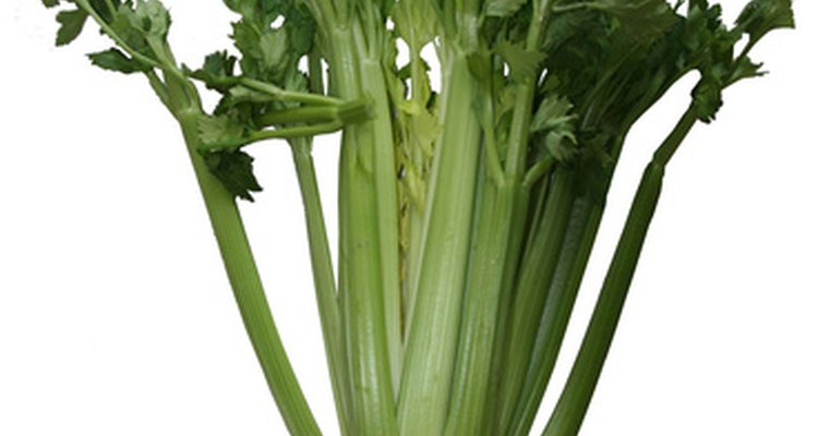 You can substitute celery seed with a number of other items.
