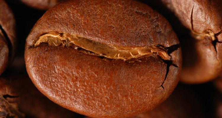 Keep your coffee grinder clean for the best-tasting brew.