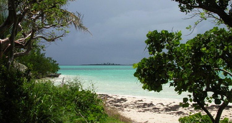 Tommy Bahama is considered resort-style gear.