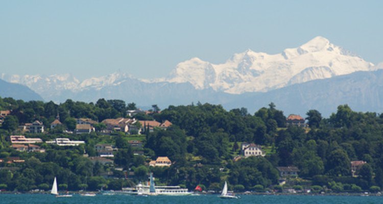If you can't go to Geneva, Switzerland to search for someone, conduct your search online.