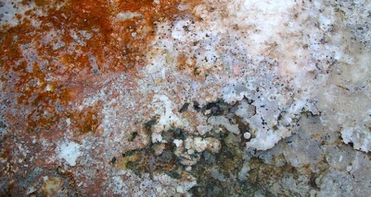 El sarro se forma por depósitos minerales.