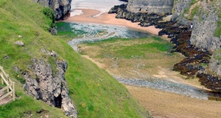 Coastal northern Scotland is the endemic home of Primula scotica.
