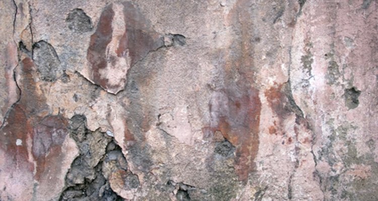 The uneven look of textured paints disguises imperfections.