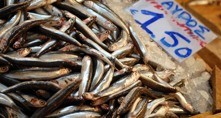 Anchovies are sometimes found on pizza and in sandwiches.