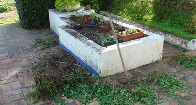 Las terrazas levantadas hacen que el dolor de cintura por hacer jardinería desaparezca.