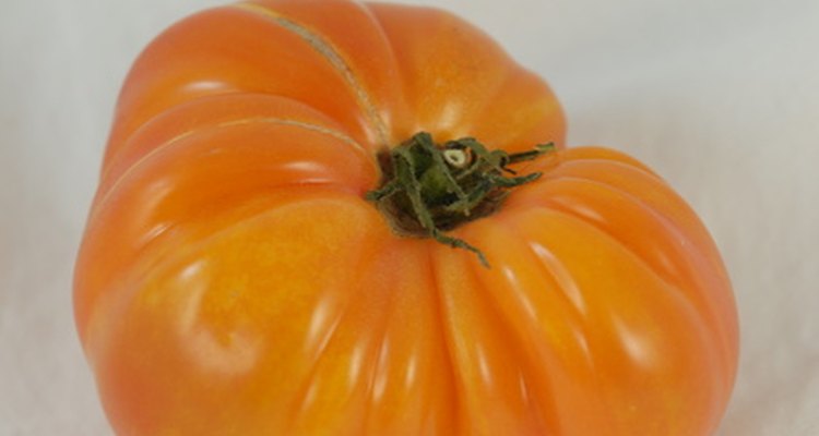 Algunas variedades tradicionales, tal como este tomate, tienen un aspecto único.
