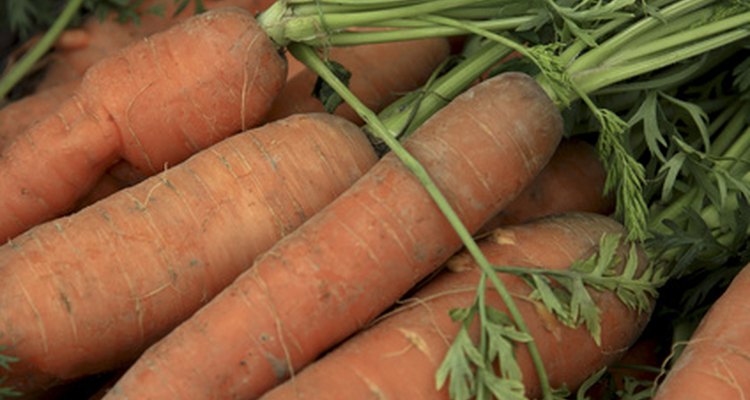 Zanahorias "thumbelina" cultivadas en macetas.