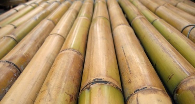 Bend bamboo sticks for use in building projects.