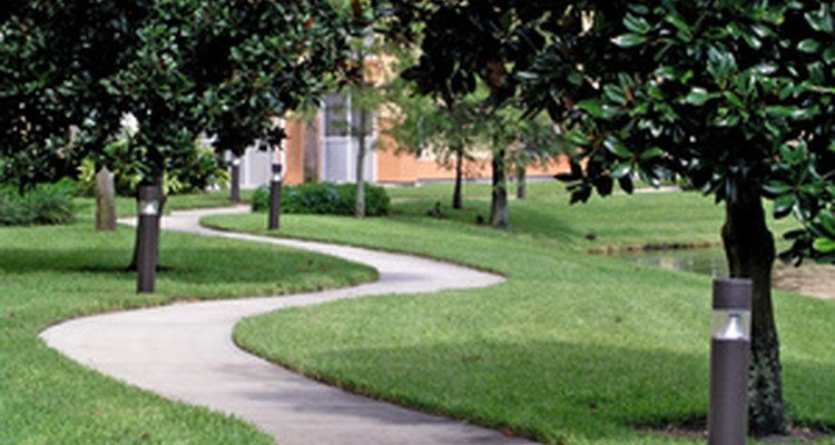 Add personality to your yard with a curved brick walkway.