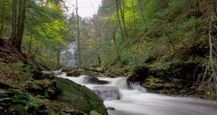 The hydraulic radius of a stream is a measure of its water flow rate.