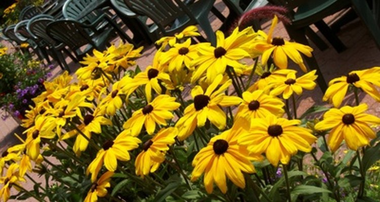 Incorporate your small garden into your deck.
