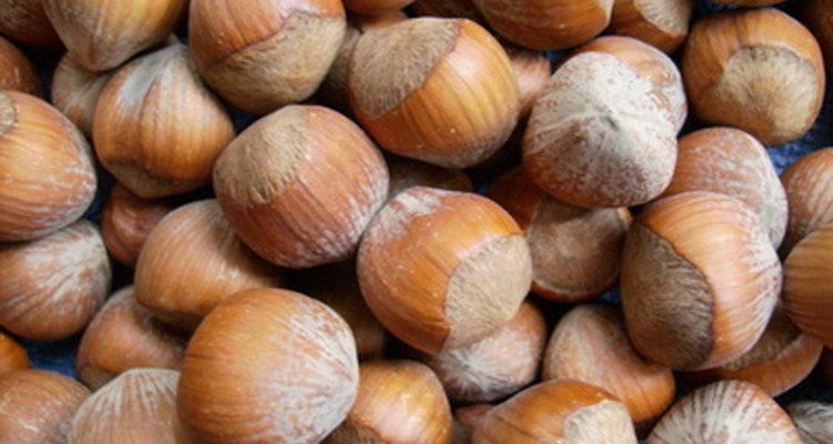 Hazelnuts, also called filberts, are high in healthy fat.