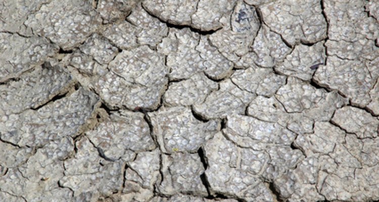 La tierra agrietada es un signo distintivo de sequedad y falta de agua.
