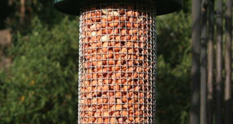 Putting a bird-feeder in your garden will attract birds.