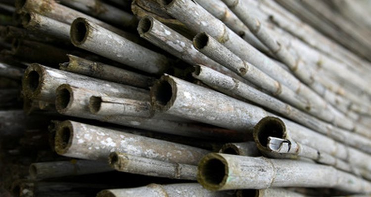 El bambú es una hierba, no una madera. Crece muy rápido, haciendo de este un recurso renovable.