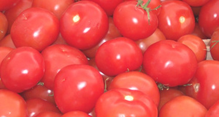 Los tomates serán más fructíferos si se plantan en el suelo adecuado.