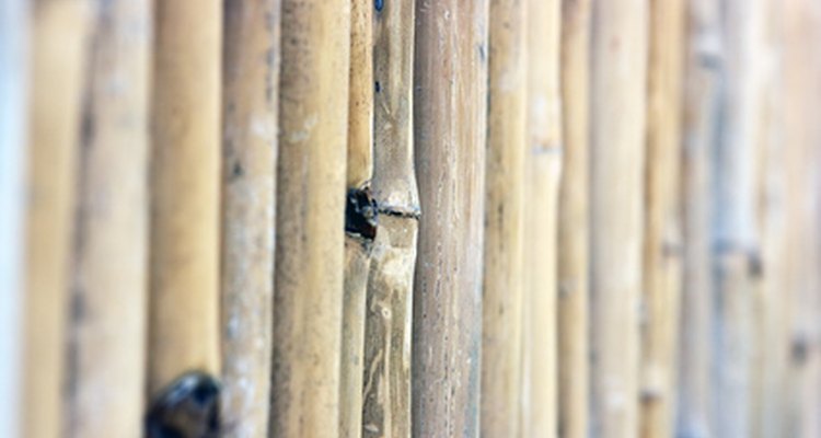 As cercas de bambu criam uma atmosfera serena