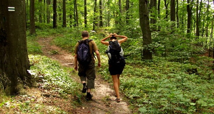 Realizar excursionismo por el bosque enriquece tu espíritu de campamento.