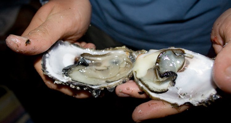 symptoms-of-food-poisoning-with-oysters