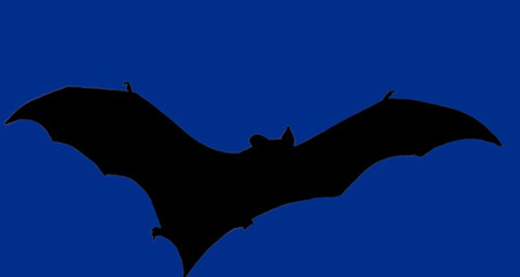 Los colores azules y negro imitan el tema de Batman.