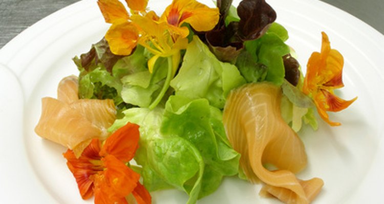Salmonella can be contracted from eating infected food.