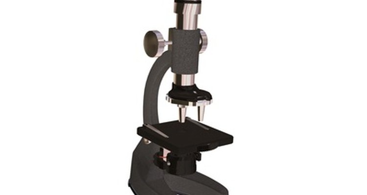 A compound light microscope has some disadvantages that should be considered.