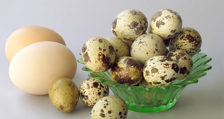 Los huevos son bajos en purinas y ricos en proteínas.