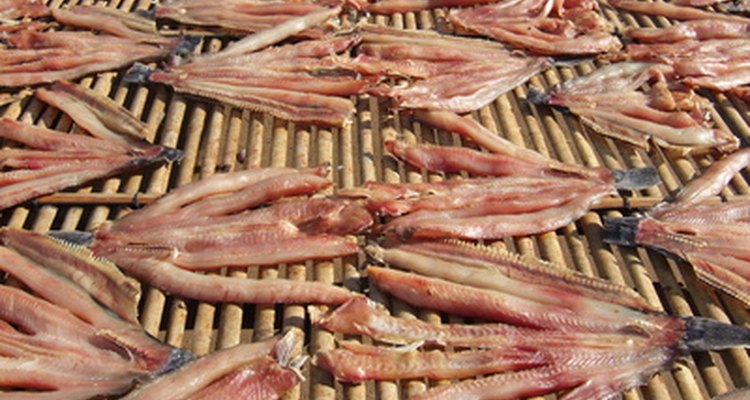 Espalhe os pepinos-do-mar em um escorredor, assim como é feito com as lulas