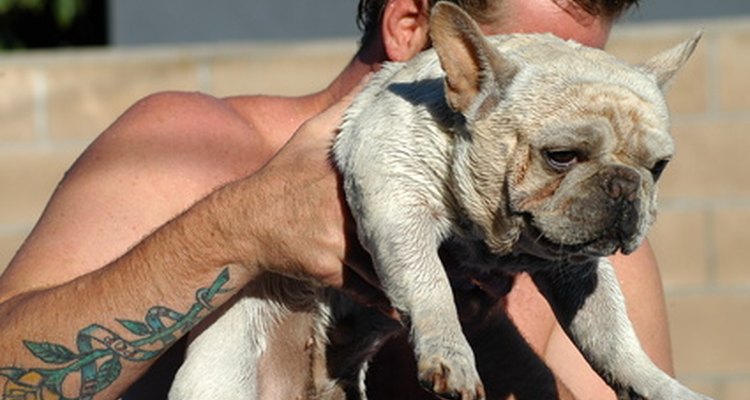 Nunca utilices agua congelada para mojar el pelaje de tu perro.